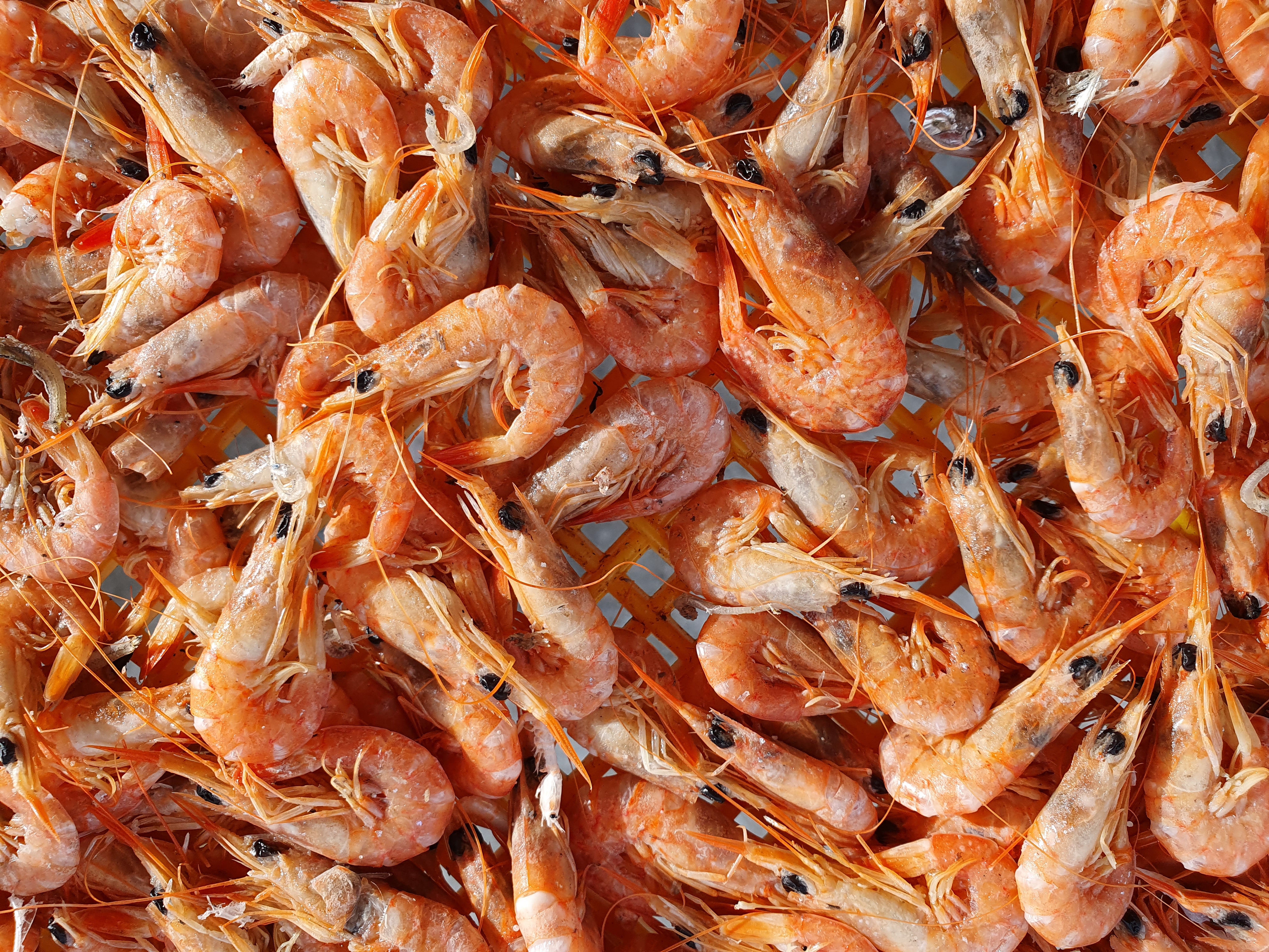 명작선물세트3호