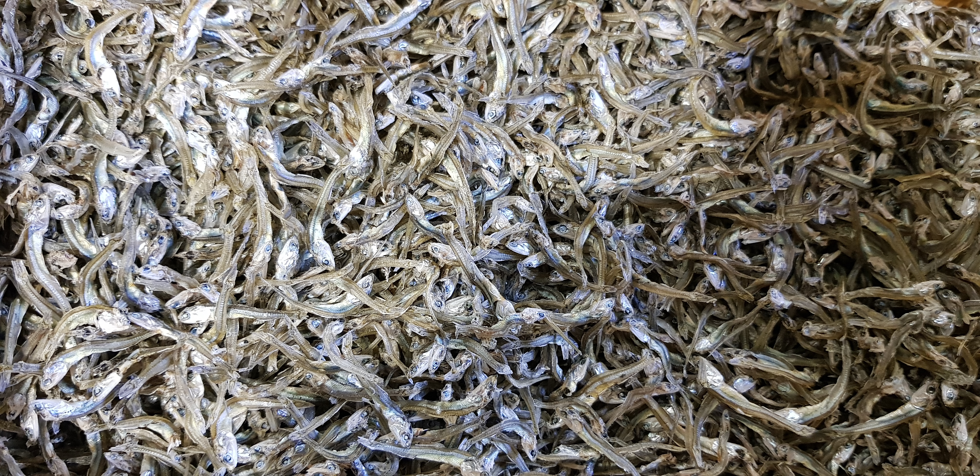 고추장멸치 250g