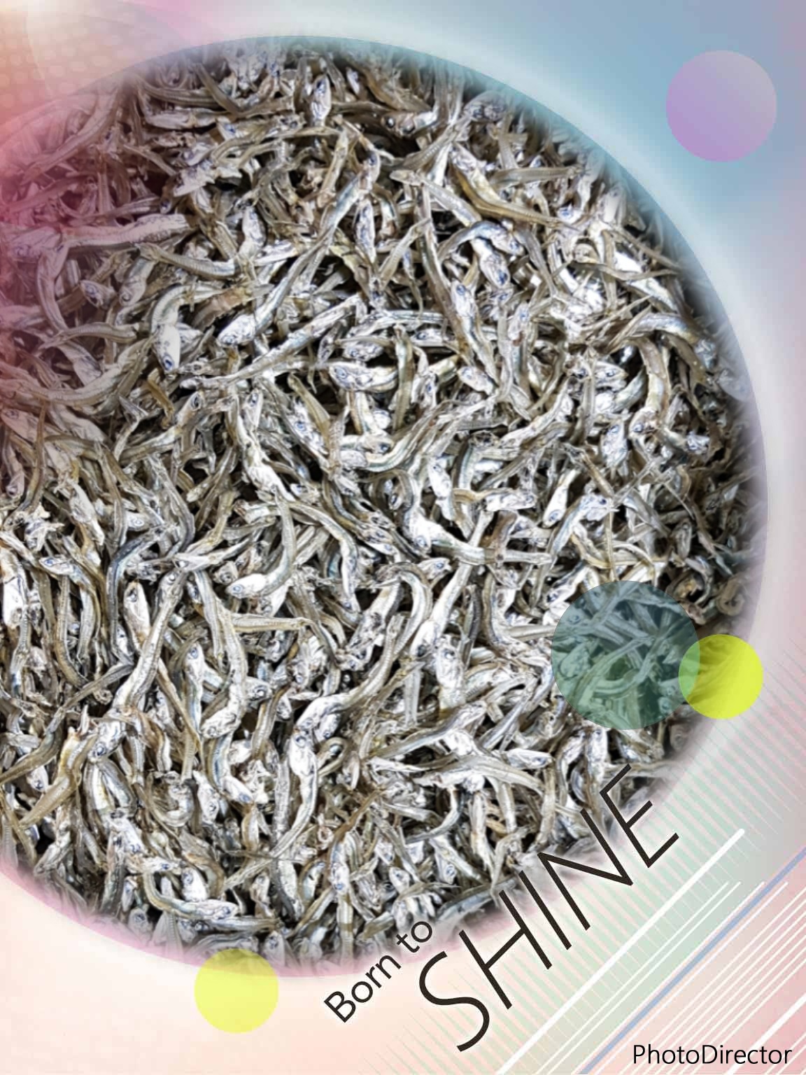 고추장멸치 250g