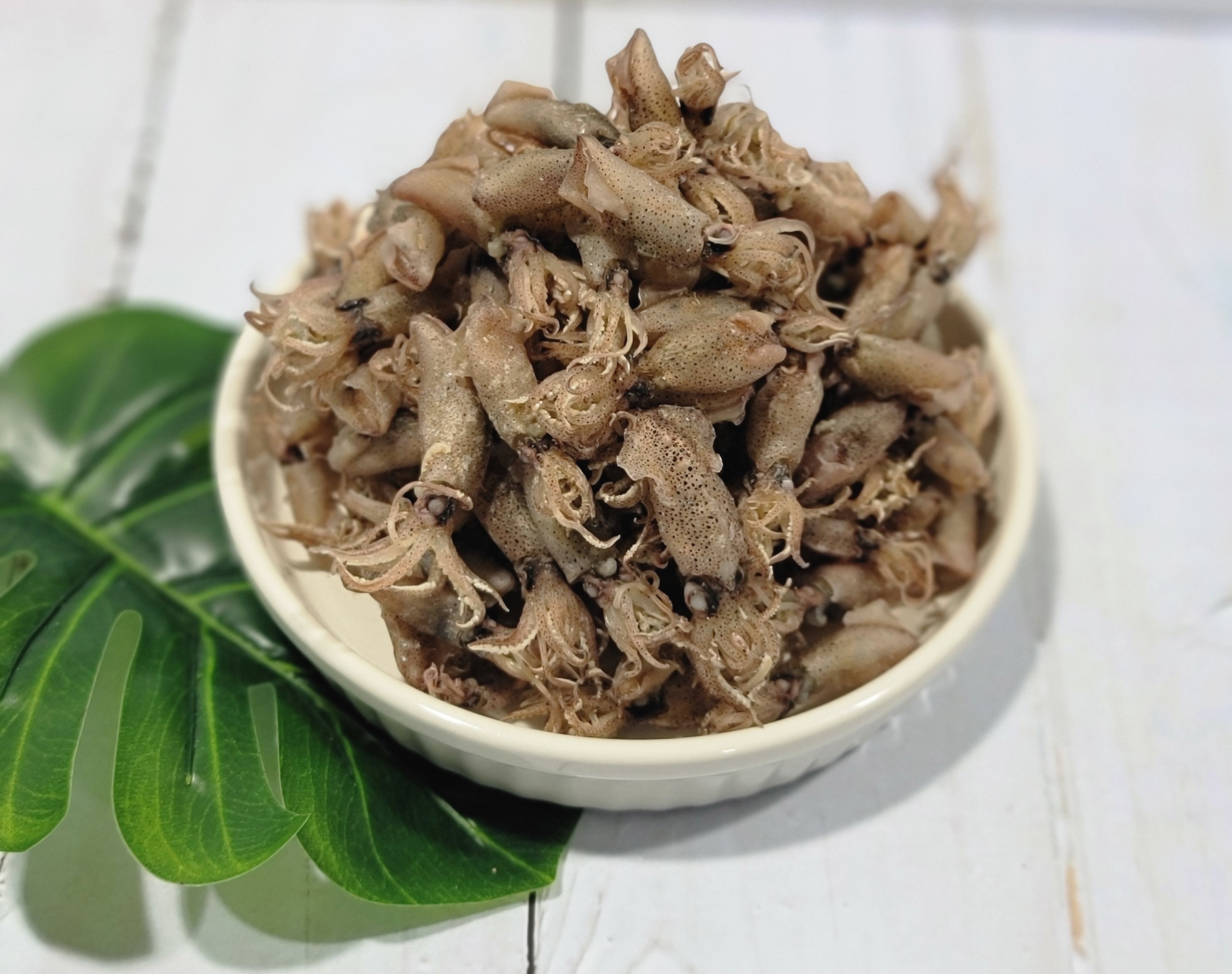 바다애 건꼴뚜기  중간사이즈