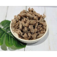 바다애 건꼴뚜기  중간사이즈