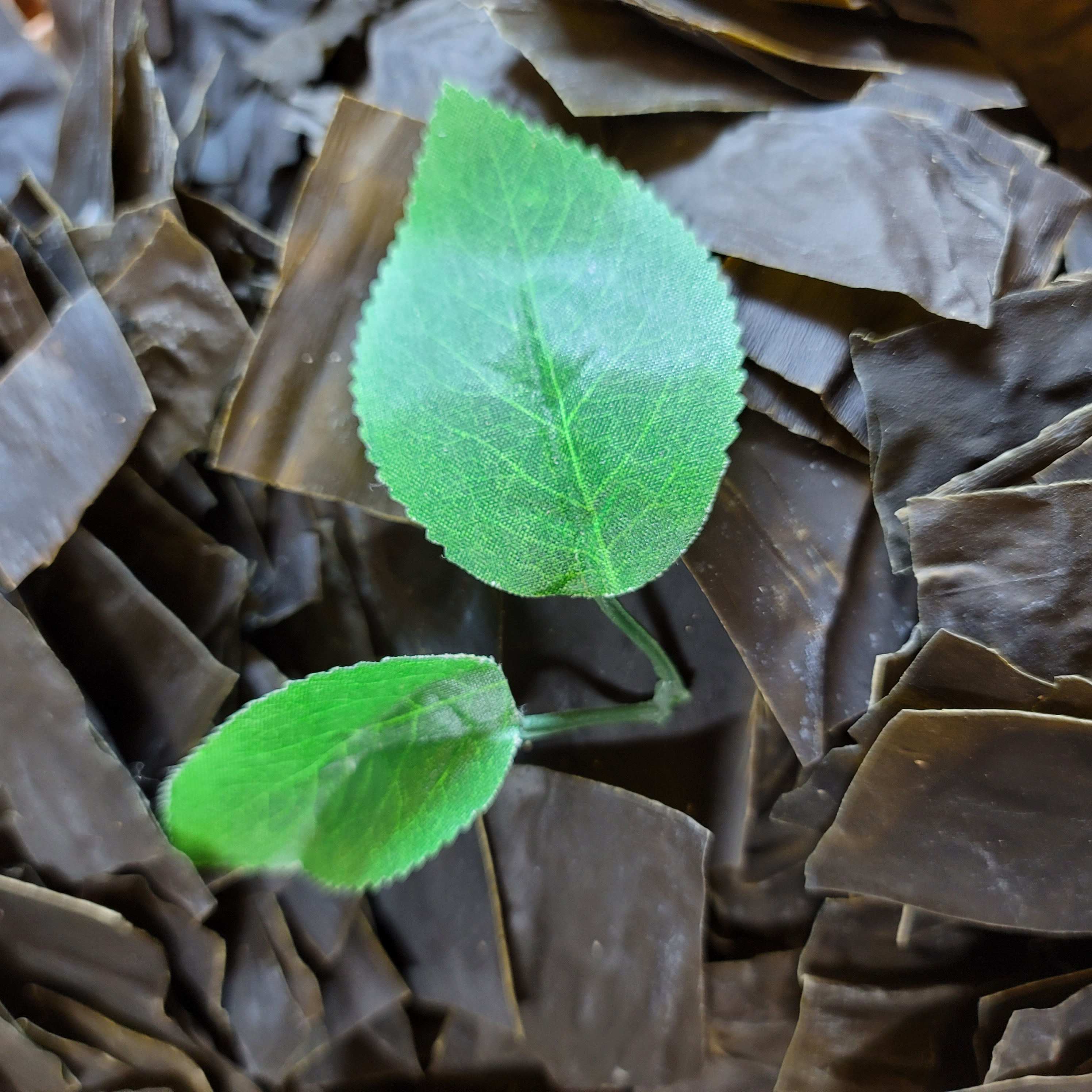 명작선물세트5호