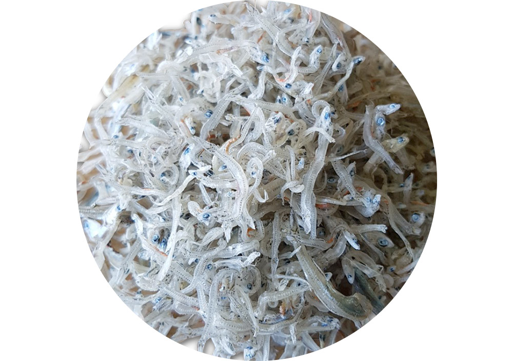 명작선물세트5호