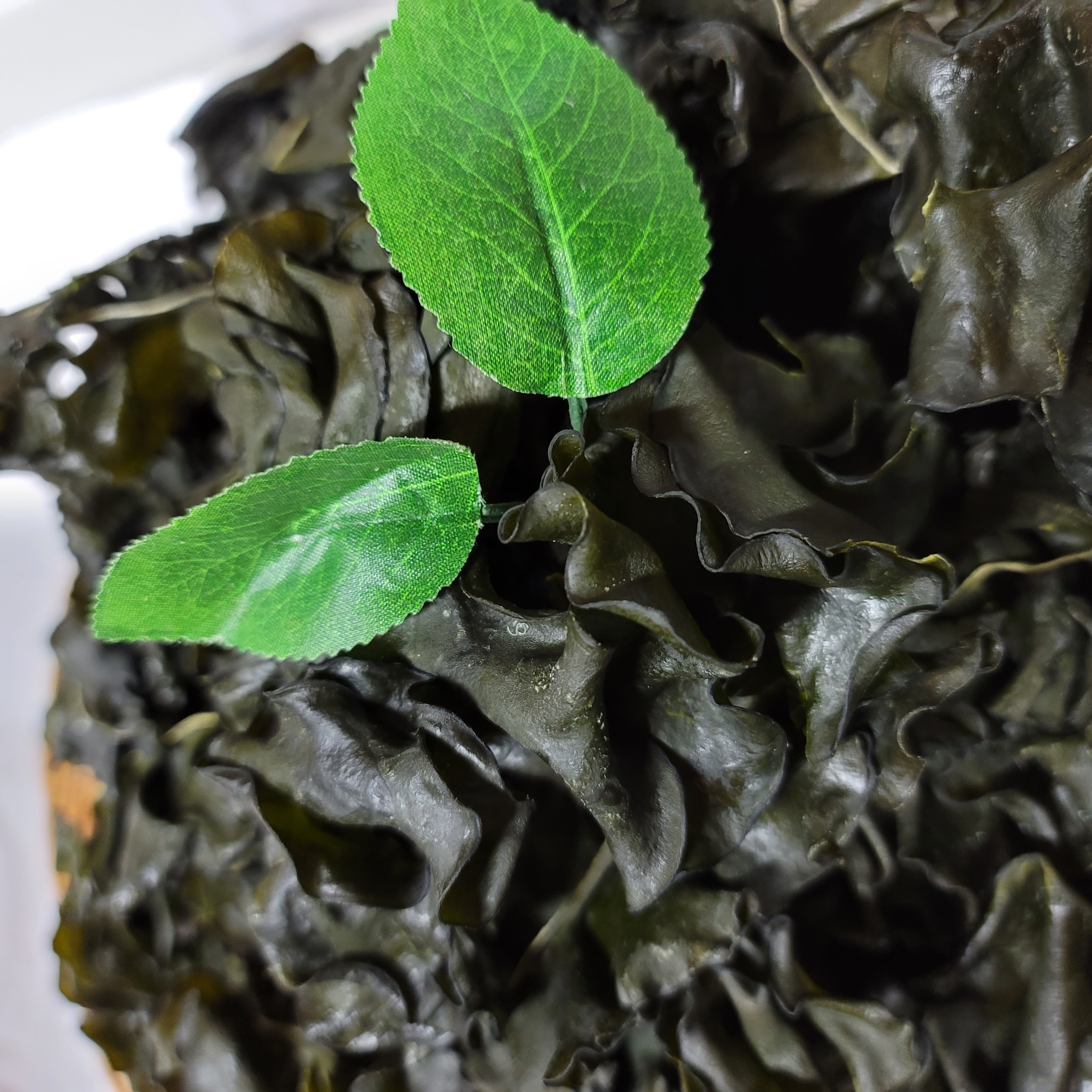 명작선물세트4호