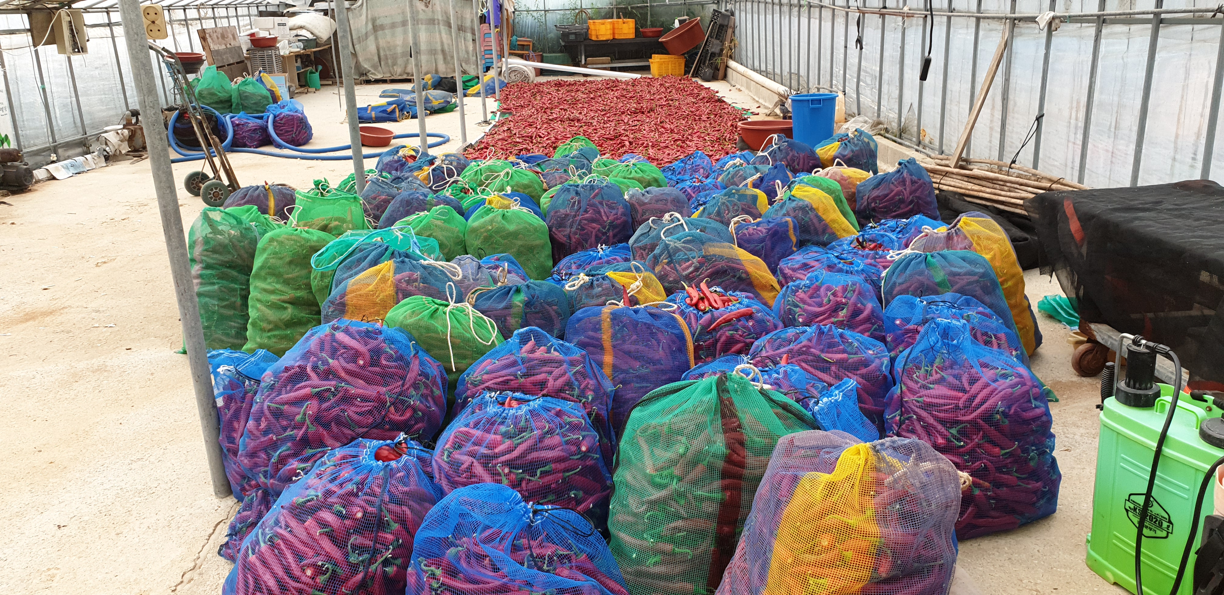 해남 양념용 굵은고춧가루 500g,1kg