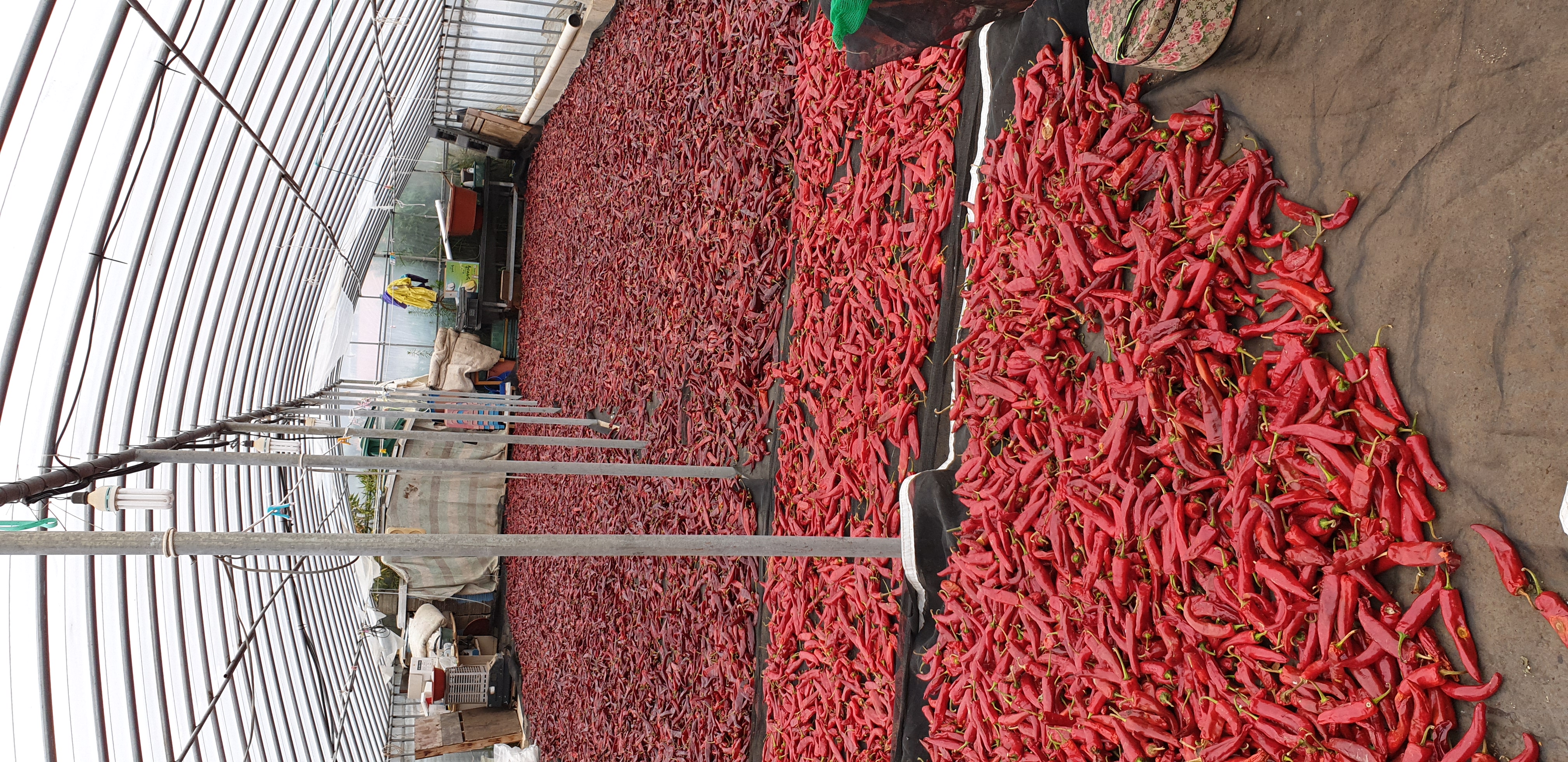 해남 양념용 굵은고춧가루 500g,1kg