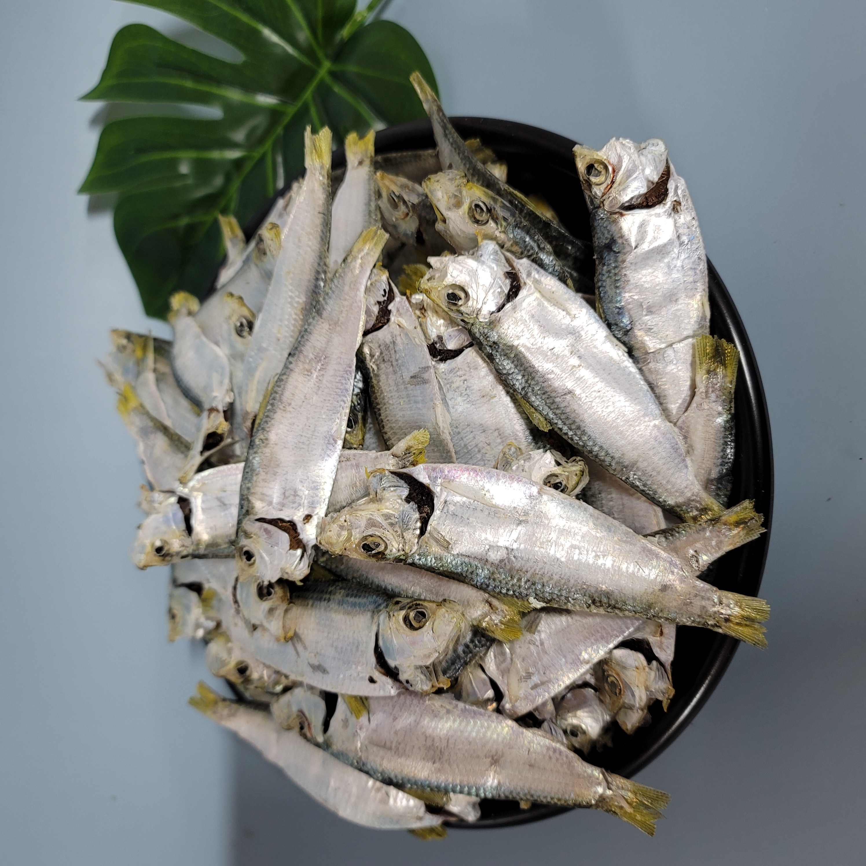 디포리 200g, 디포리500g, 디포리1.5kg