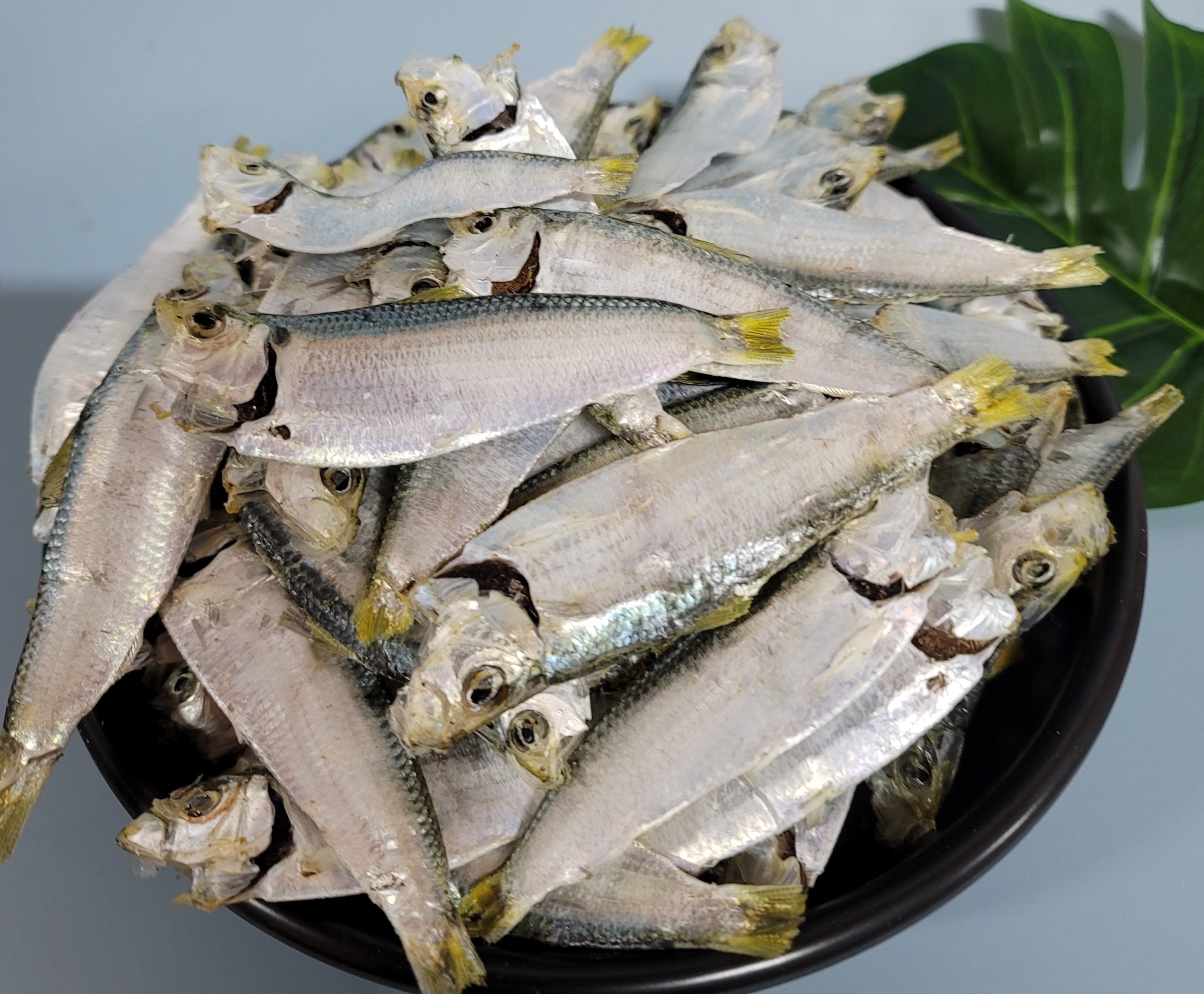 디포리 200g, 디포리500g, 디포리1.5kg