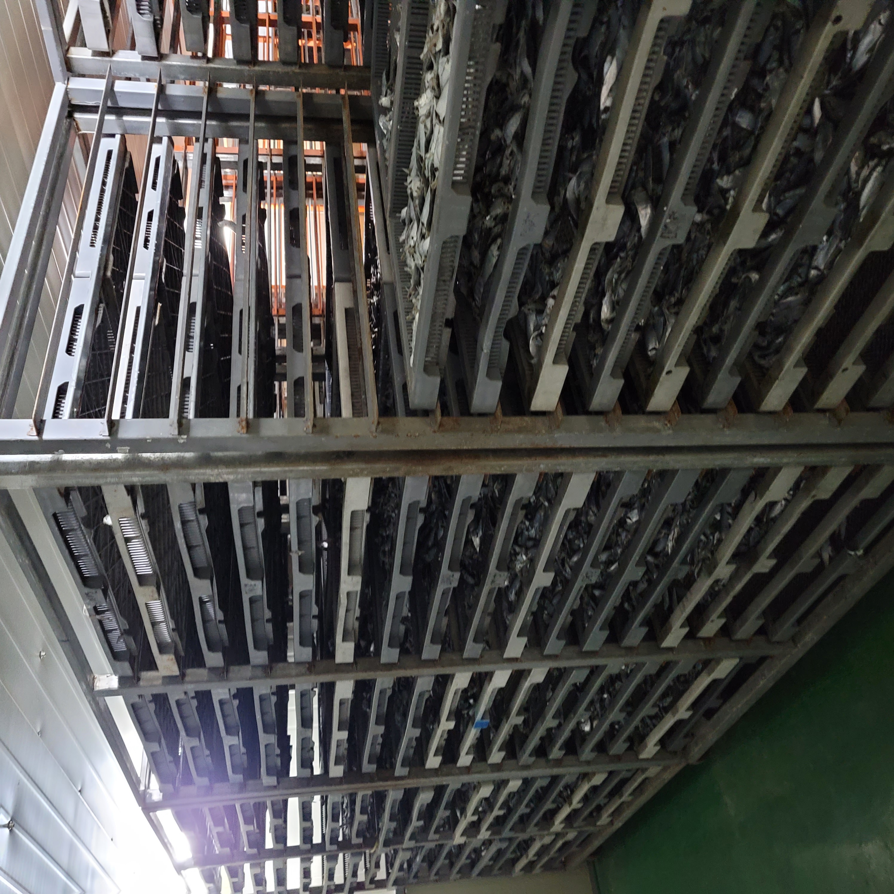 국멸치500g,국멸치1.5kg