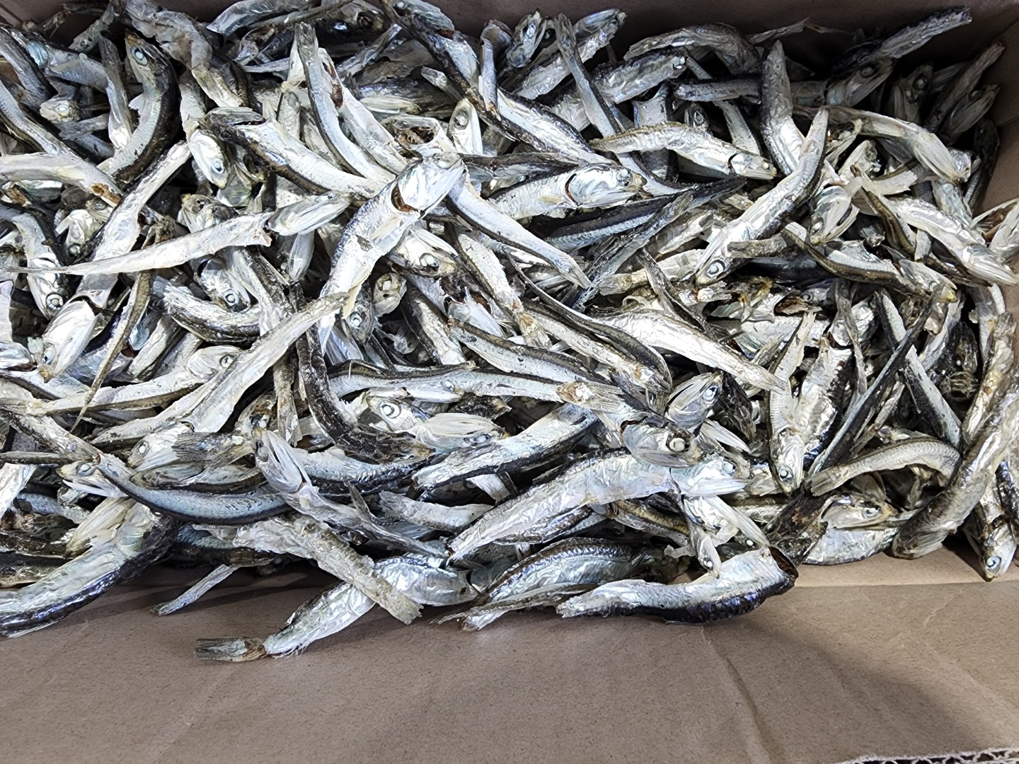 국멸치500g,국멸치1.5kg