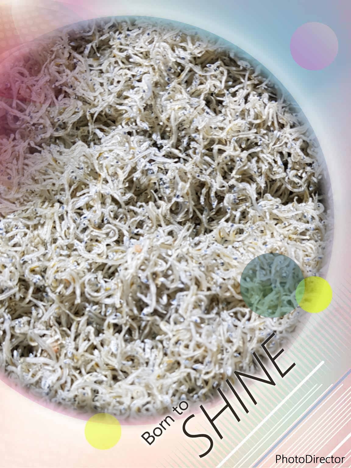 은빛 멸치 선물세트