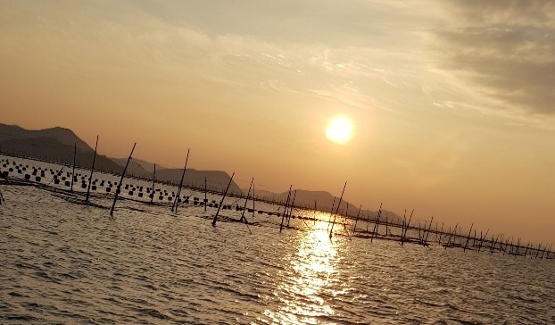 명품 재래김,맛 좋은 돌김, 맛 좋은 파래김