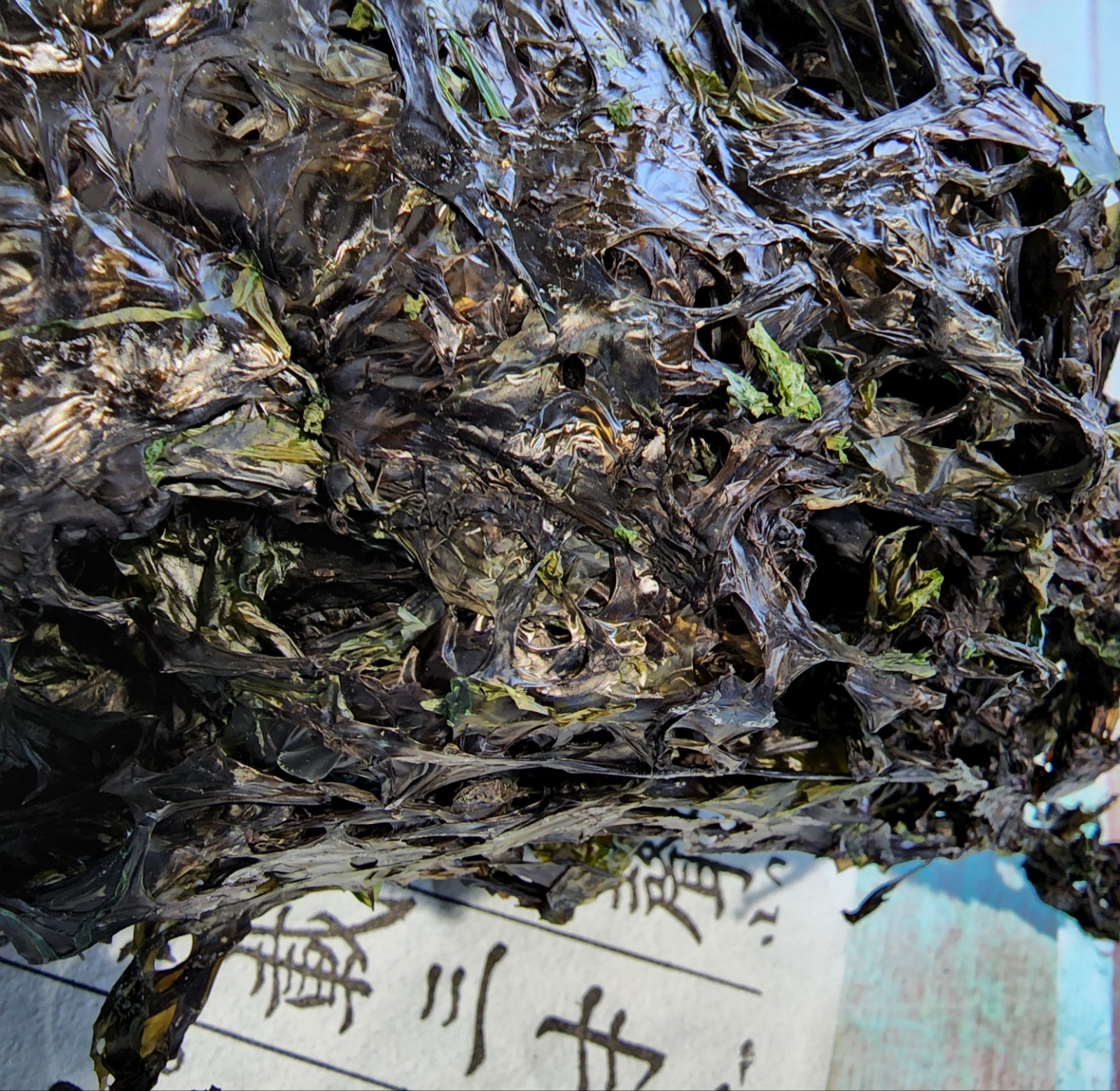 조미되지 않은 파래 돌자반 125g,250g