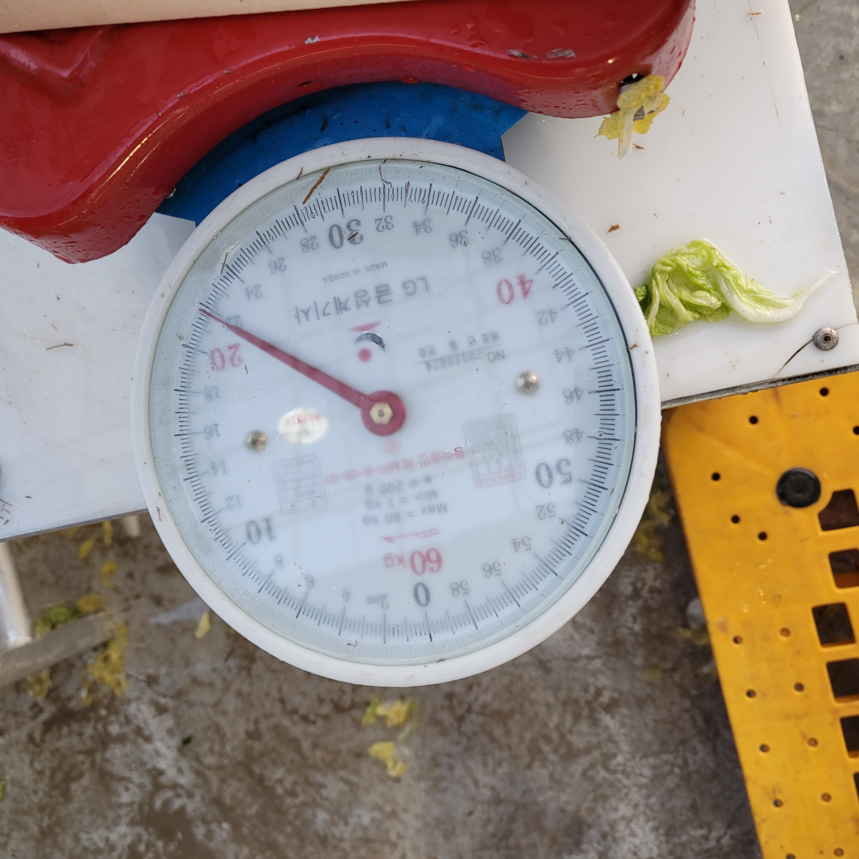 황토와 해풍을 맞고 자란 해남절임배추,GAP인증,절인배추,7-8포기