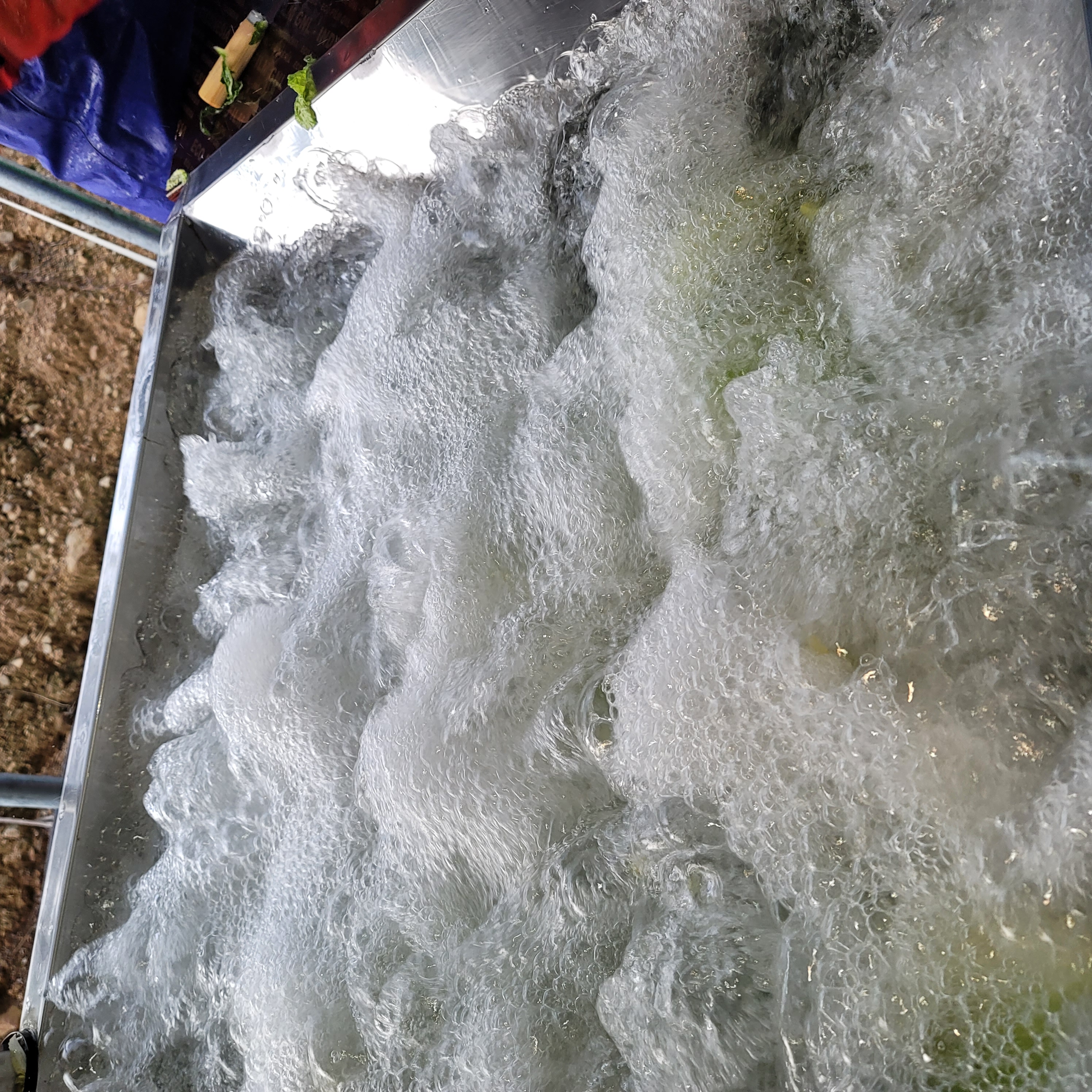 황토와 해풍을 맞고 자란 해남절임배추,GAP인증,절인배추,7-8포기