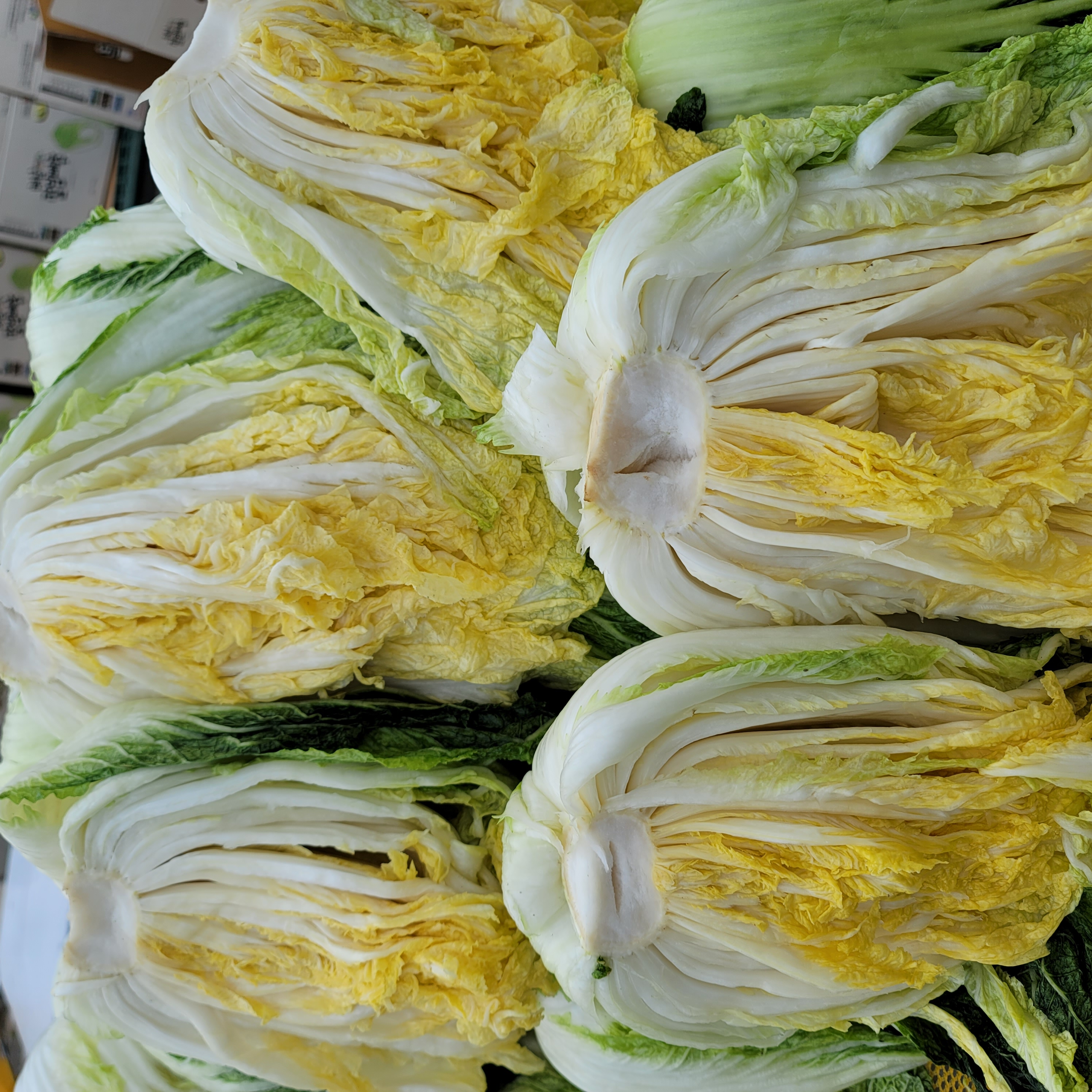 황토와 해풍을 맞고 자란 해남절임배추,GAP인증,절인배추,7-8포기