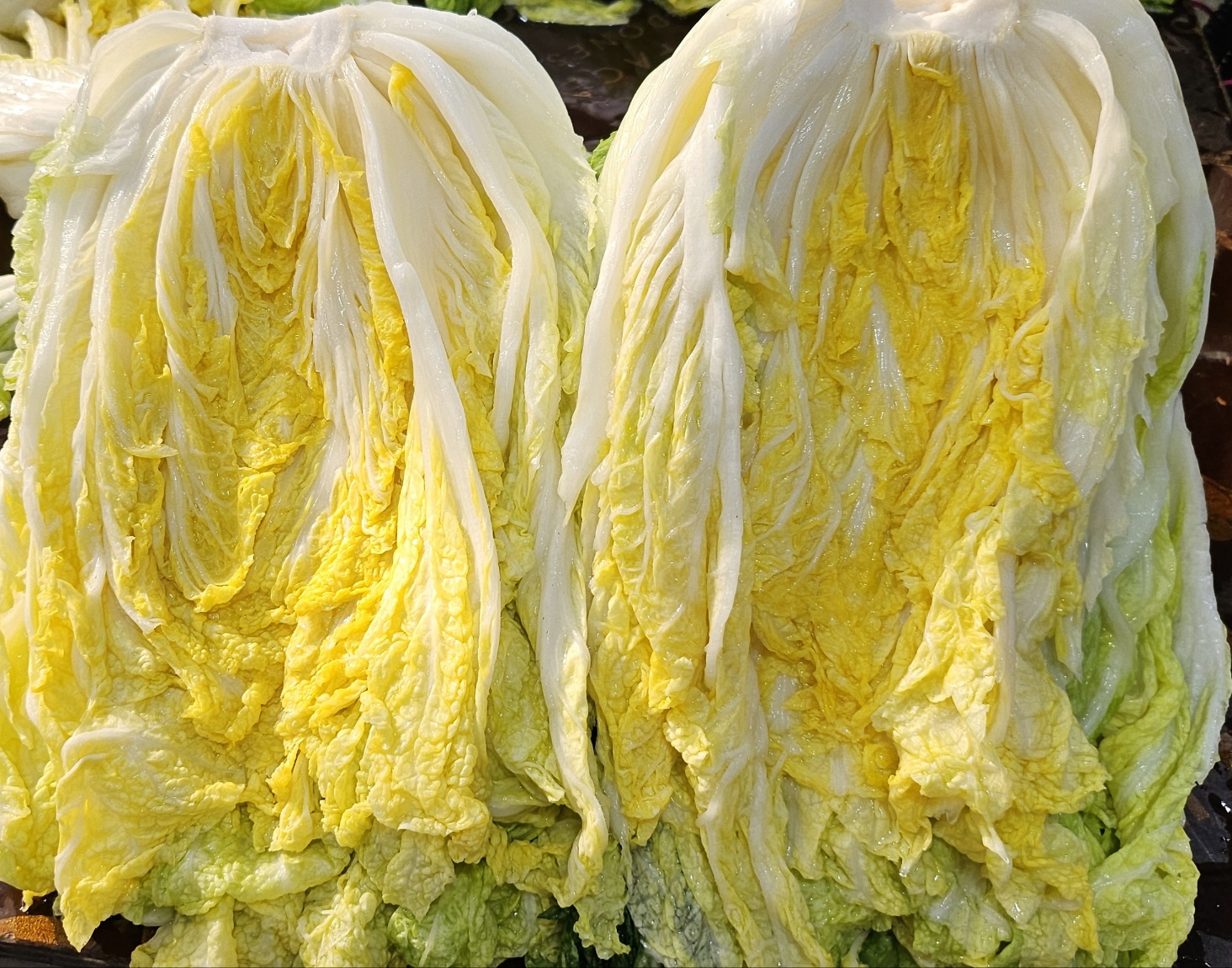 황토와 해풍을 맞고 자란 해남절임배추,GAP인증,절인배추,7-8포기