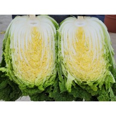 황토와 해풍을 맞고 자란 해남절임배추,GAP인증,절인배추,7-8포기