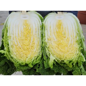 황토와 해풍을 맞고 자란 해남절임배추,GAP인증,절인배추,7-8포기