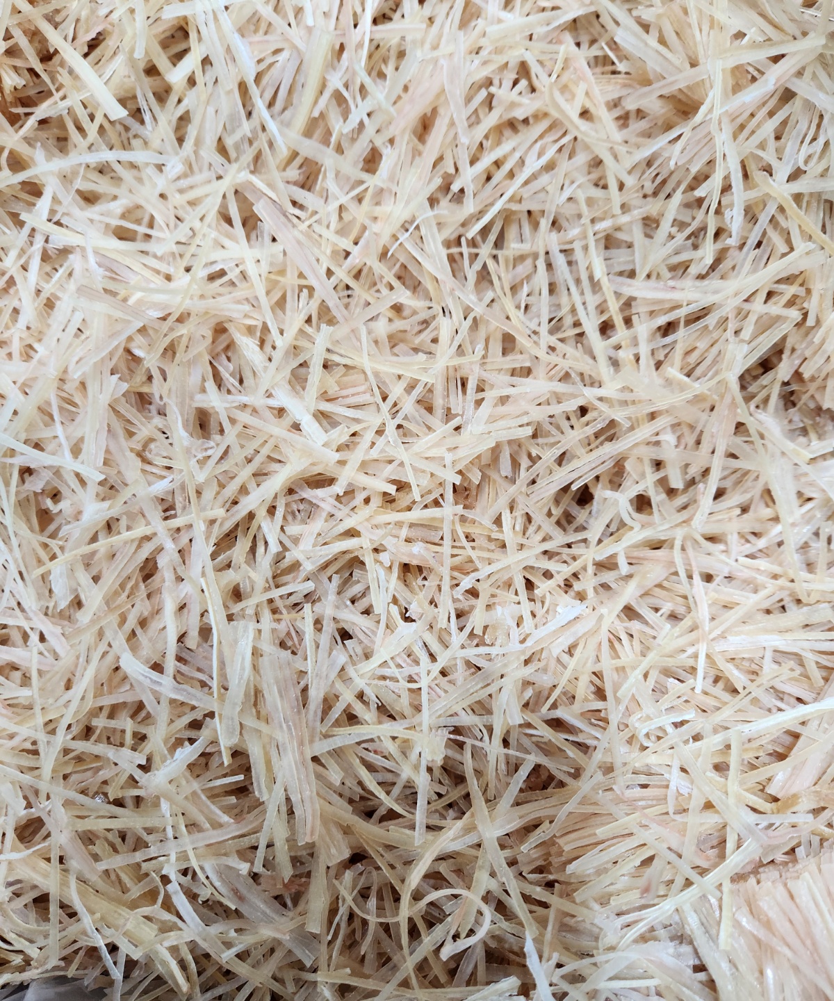 오징어 실채300g,500g,1kg